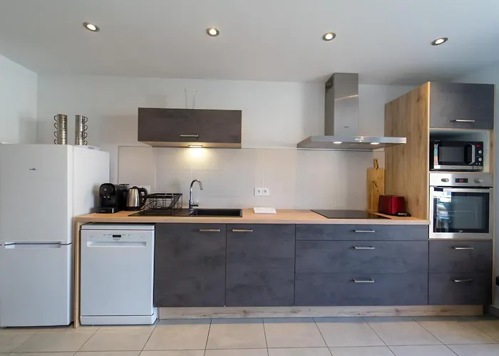 Le Roc Du Cygne Charmant Appartement 4 Personnes A Deux Pas Du Lac